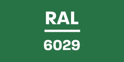 RAL6029